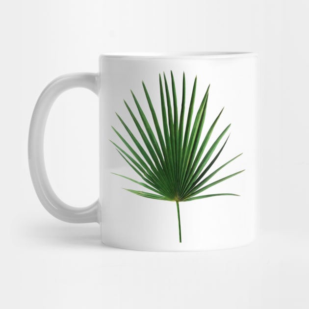 Simple Palm Leaf Geometry by micklyn